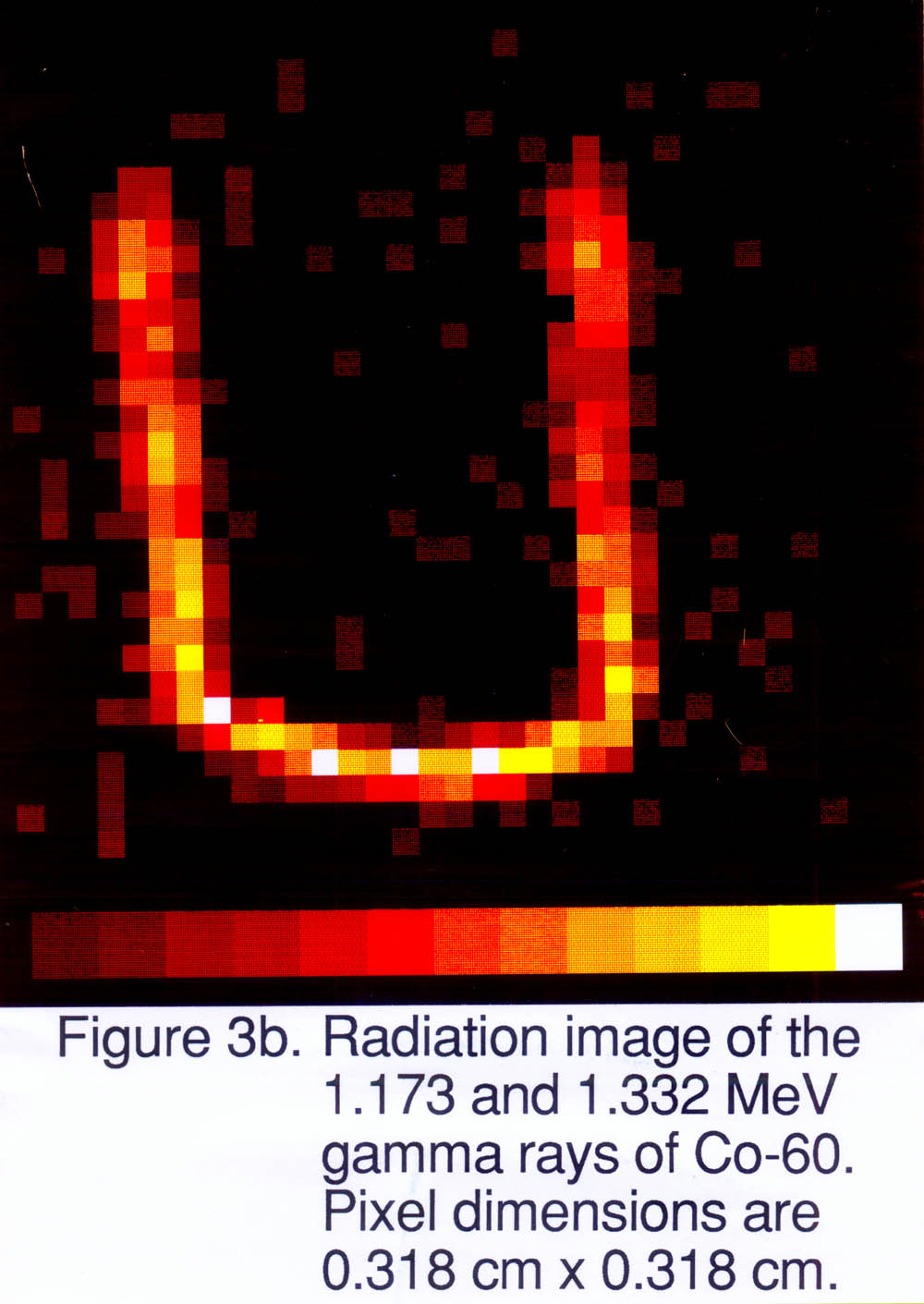 radiation image of the 1.173 and 1.332 MeV gamma rays of Co-60